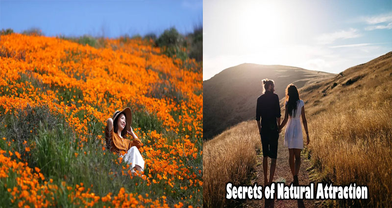 The Secrets Of Natural Attraction Can Be Difficult To Understand