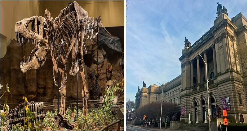 Carnegie Museum of Natural History